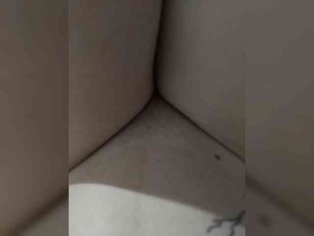 DENISA6 webcam