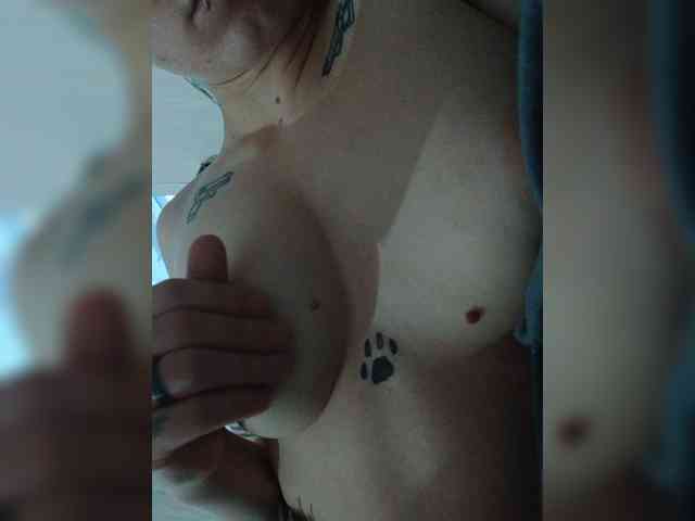 DENISA6 webcam
