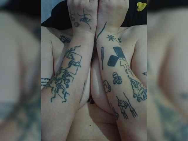 DENISA6 webcam