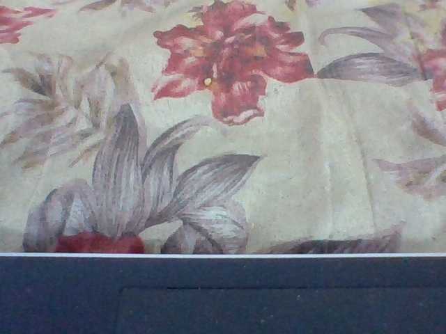 Layah7