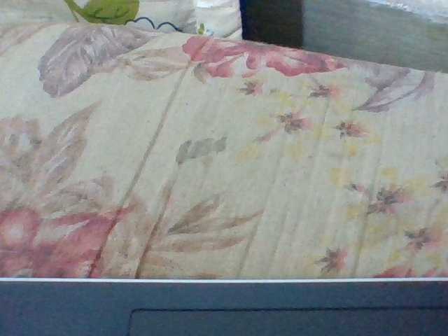 Layah7