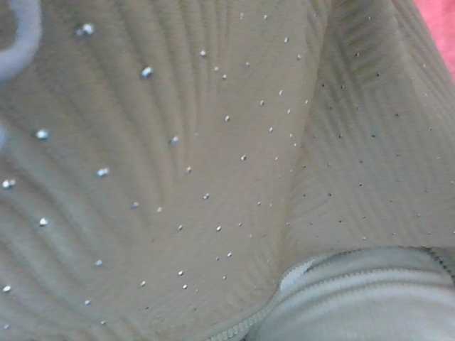 Layah7