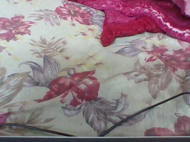 Layah7 live cam on BongaCams