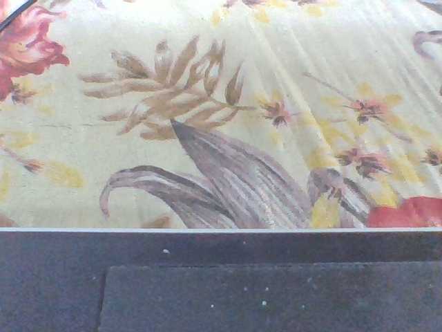 Layah7