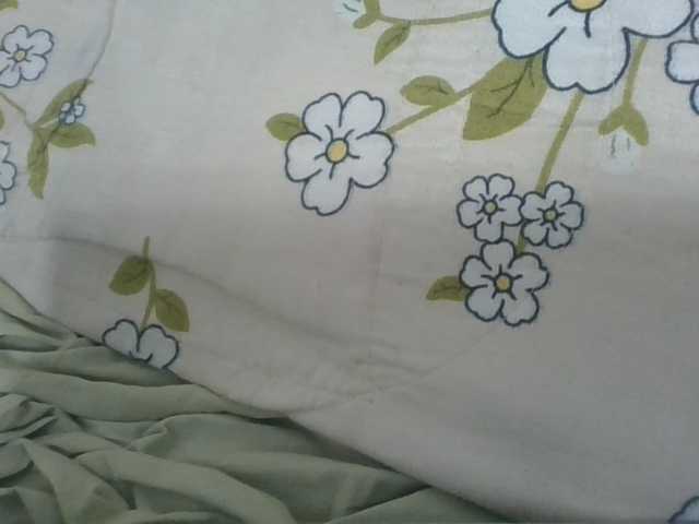 Layah7