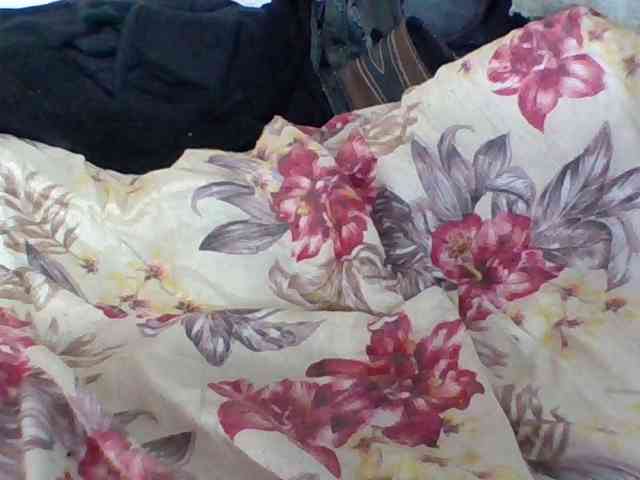 Layah7