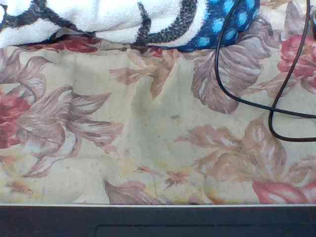 Layah7 Layah7