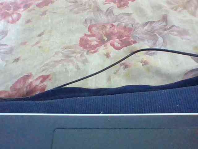 Layah7 webcam