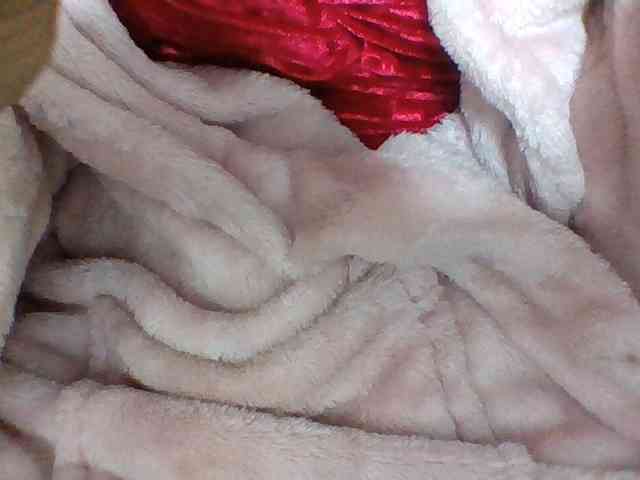 Layah7 Layah7