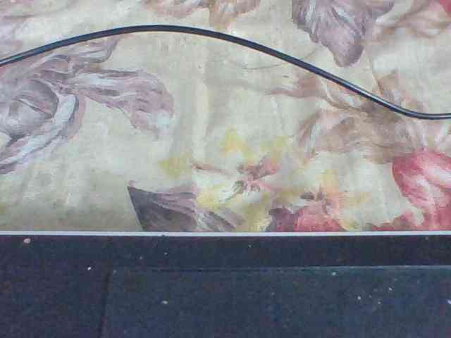 Layah7 webcam