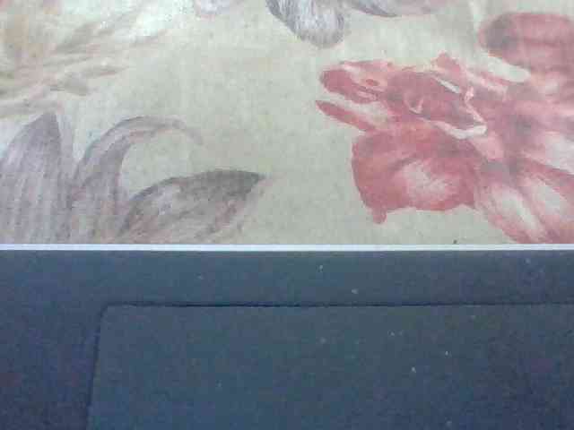 Layah7 webcam