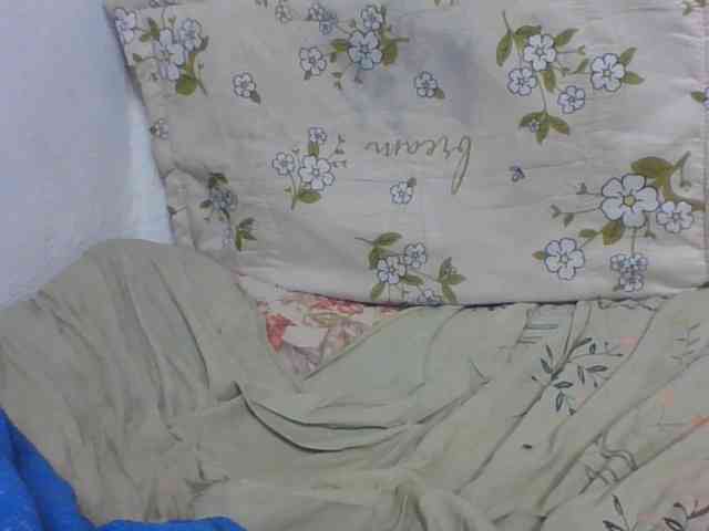 Layah7