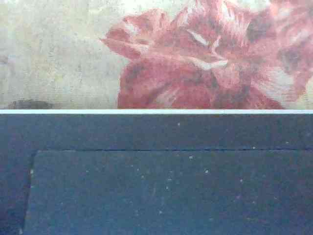 Layah7 webcam