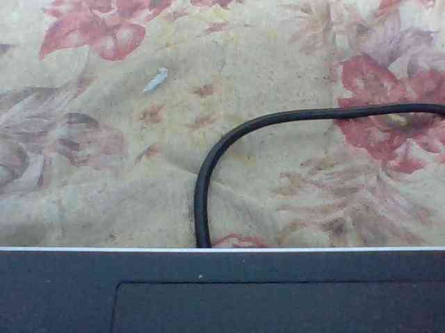 Layah7 webcam