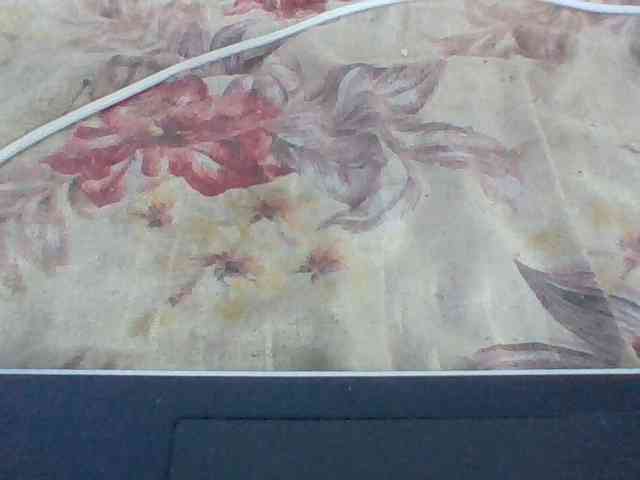 Layah7 webcam