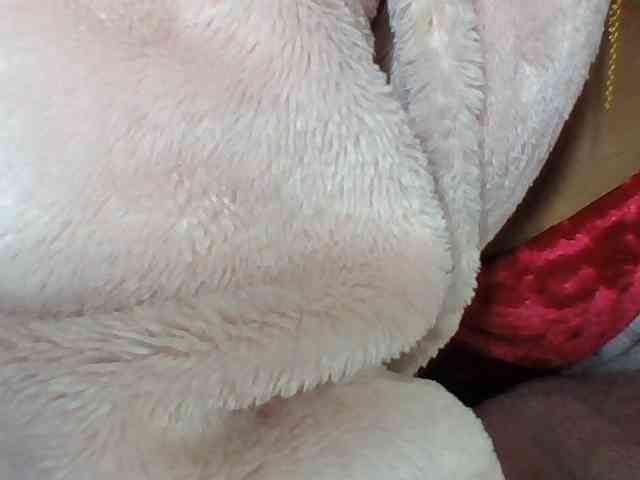 Layah7 webcam