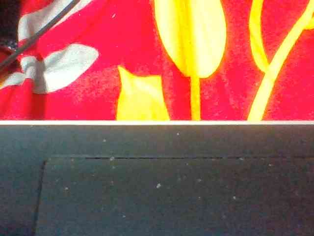 Layah7 webcam