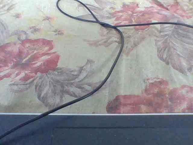 Layah7 webcam