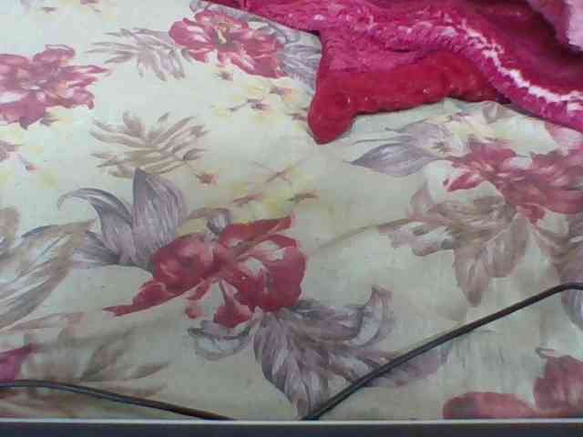 Layah7 Layah7