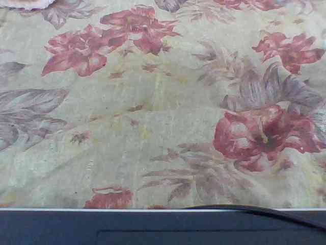 Layah7 webcam