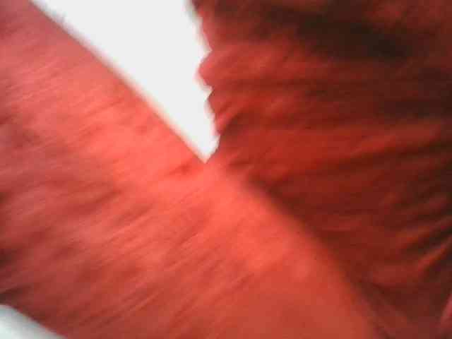 Layah7