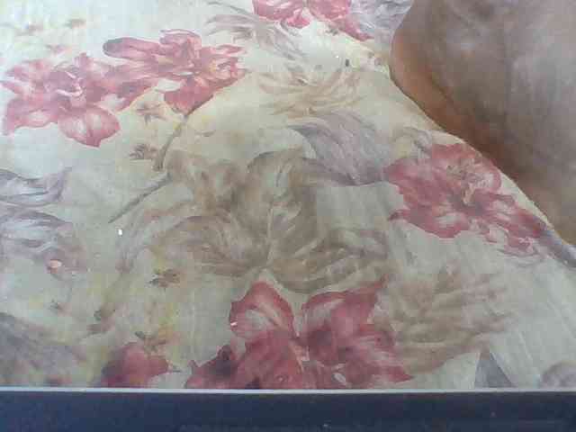 Layah7 webcam