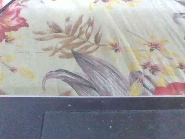 Layah7