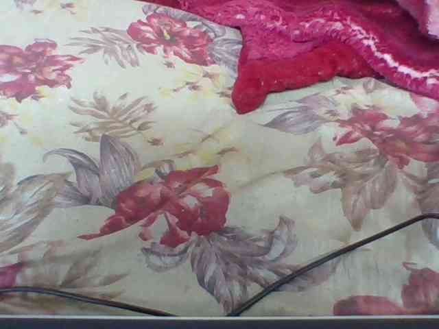 Layah7 webcam