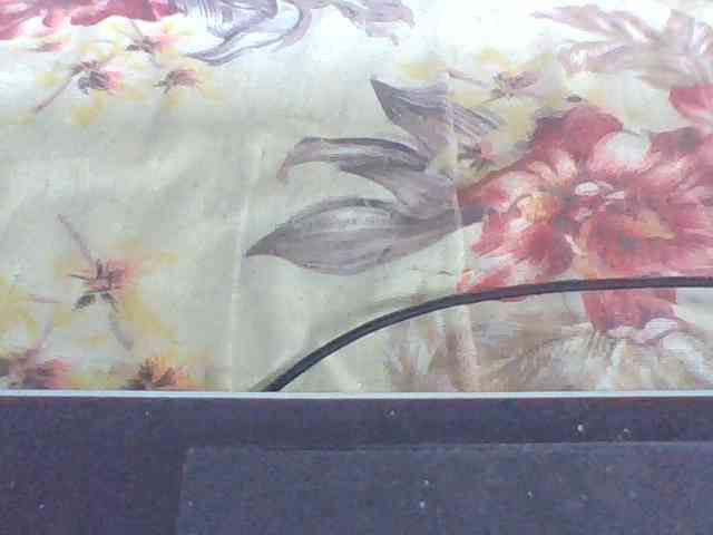 Layah7 webcam