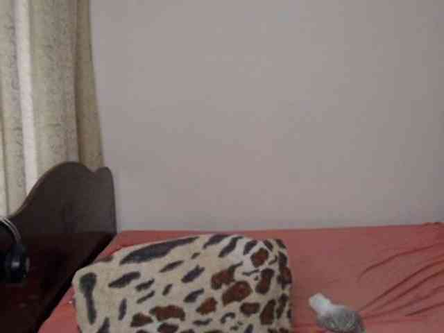 Saker121 Live Webcam on BongaCams