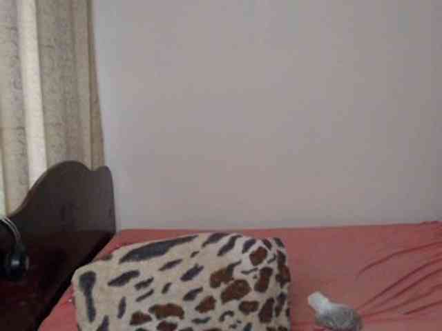 Saker121 Saker121