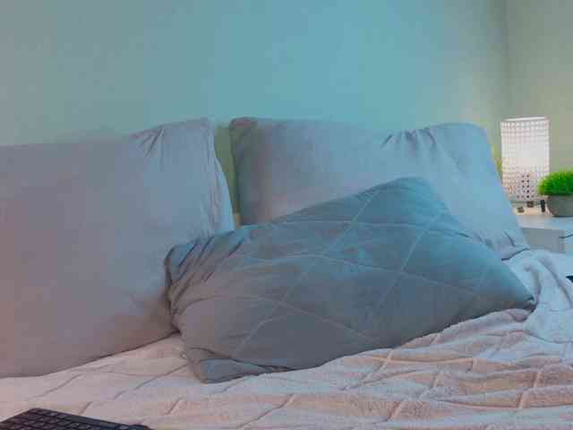 AnayaLowe webcam