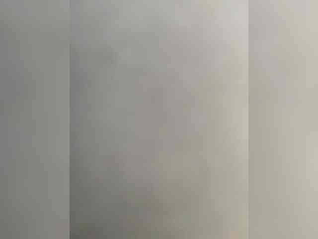 marianthelittlebeautycat