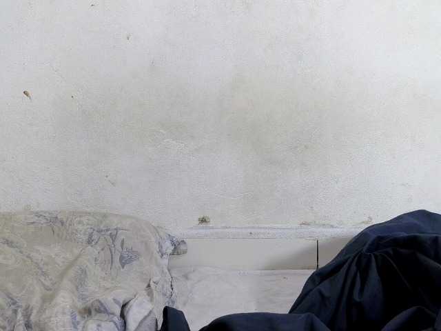 Francia1 live cam on BongaCams