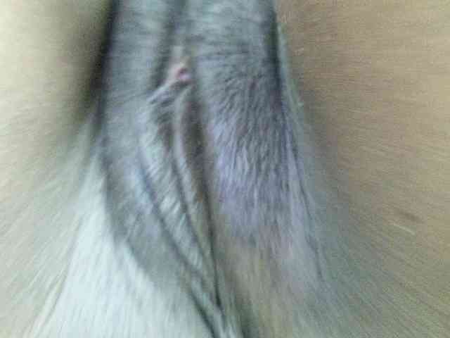 Francia1 webcam