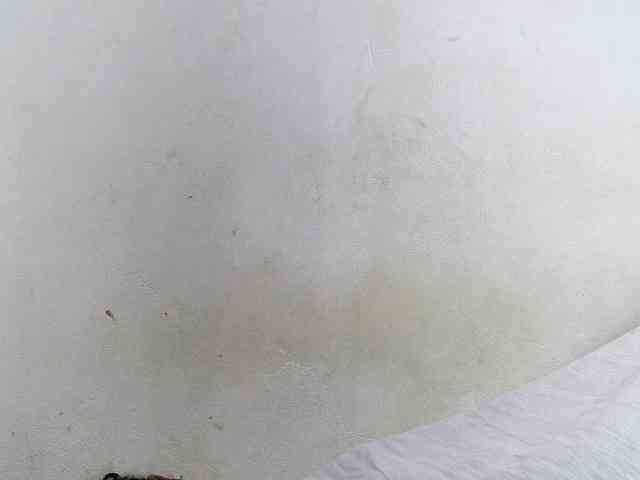 Francia1 webcam