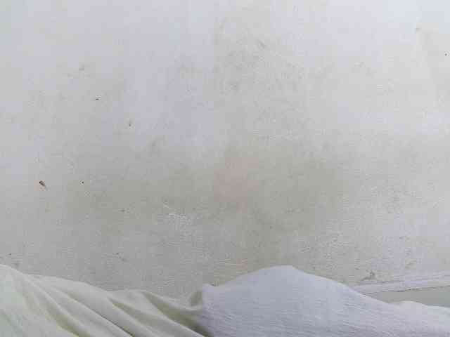 Francia1 webcam