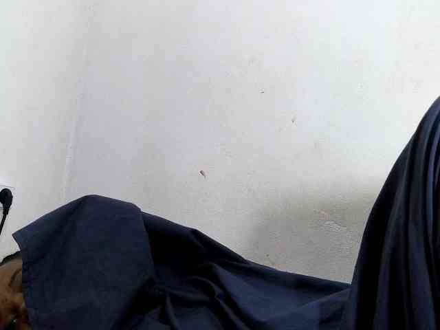 Francia1 webcam
