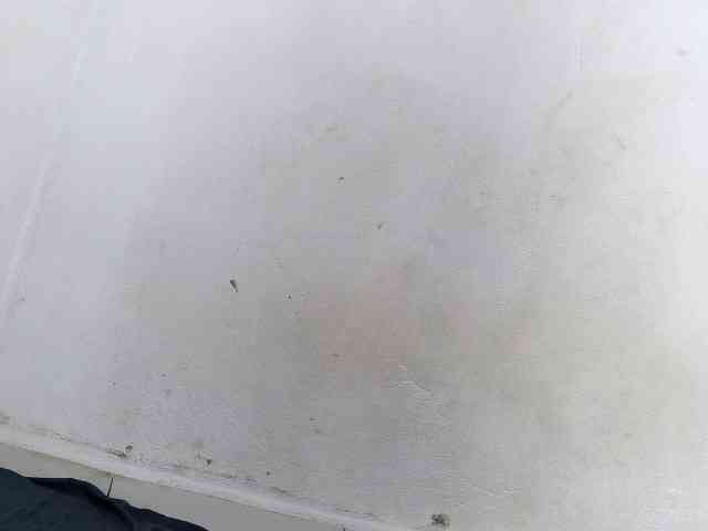 Francia1 webcam