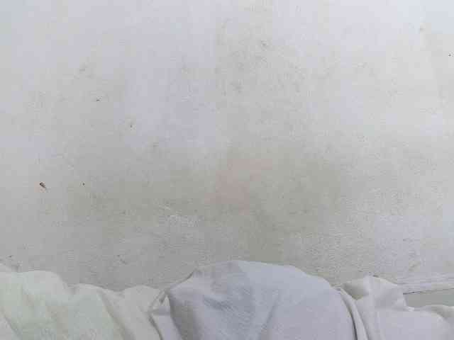 Francia1 webcam