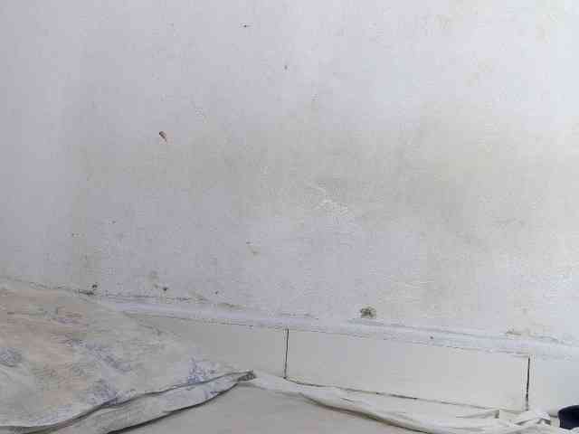Francia1 webcam