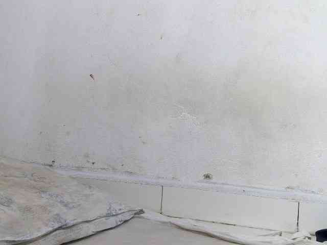 Francia1 webcam
