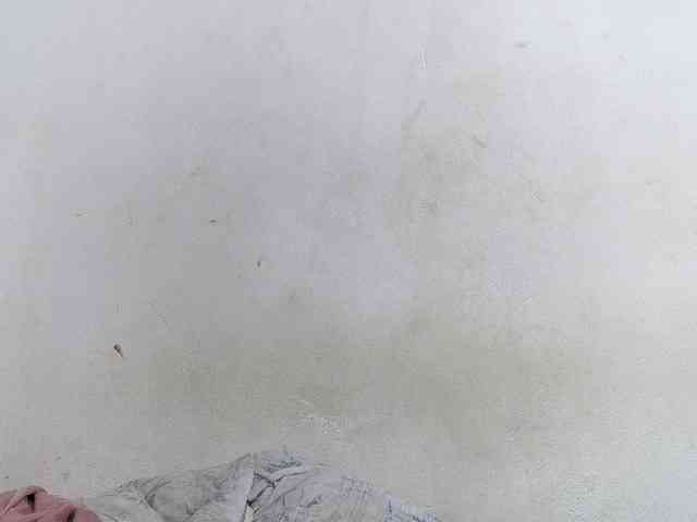 Francia1 webcam