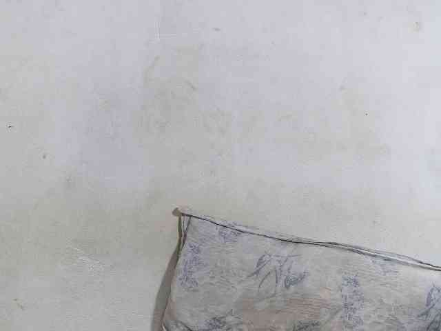 Francia1 webcam