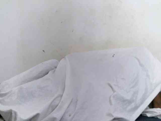 Francia1 webcam