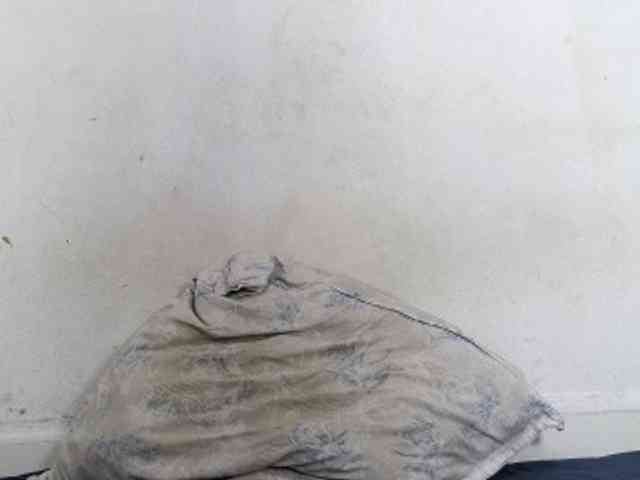 Francia1 webcam