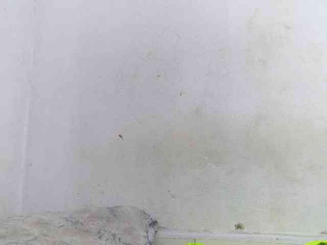Francia1 webcam