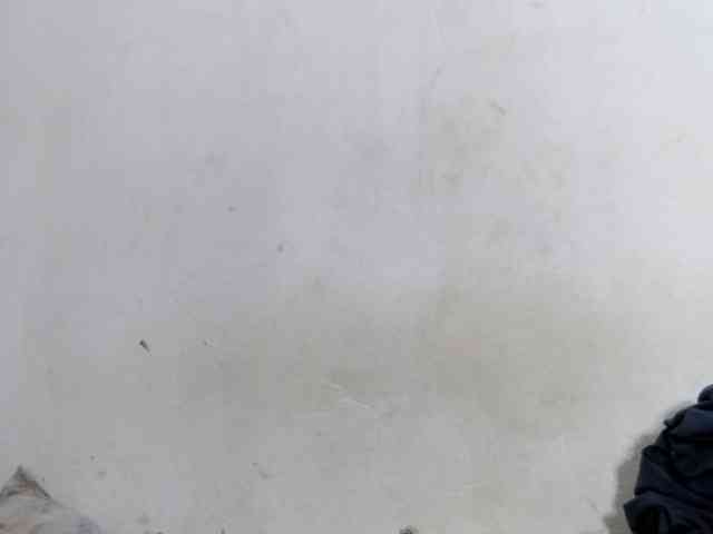 Francia1 webcam