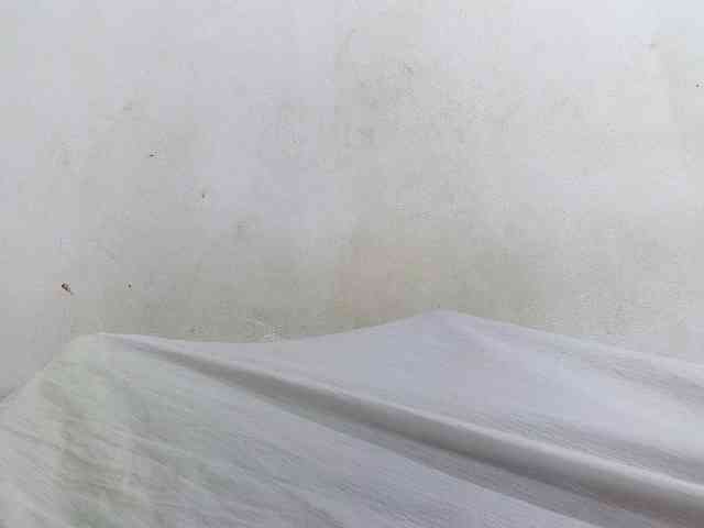 Francia1 webcam