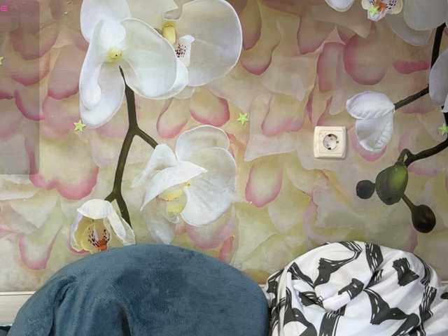 BrandeeOleson live cam on BongaCams